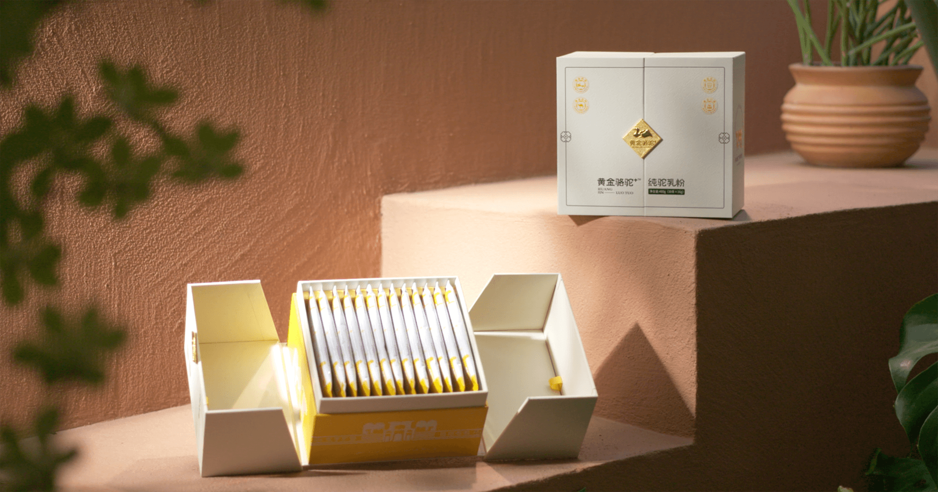 定位小众高端乳粉，怡亚通推出驼奶品牌“黄金骆驼+”，角逐乳品新市场！